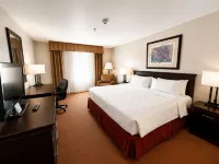 Holiday Inn REYNOSA ZONA DORADA by IHG - Wifi