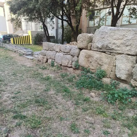 Domo Archea