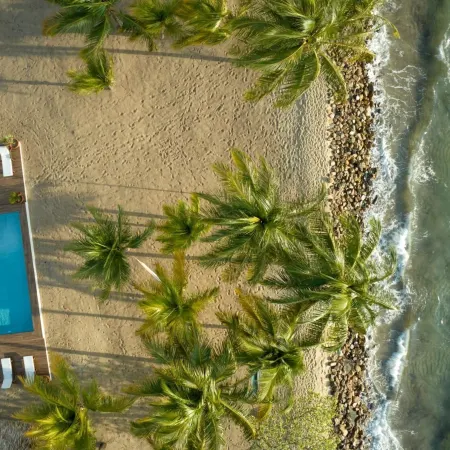 Dolphin Beach - Private Oceanfront 4-Bed Villa WPool on Huge Lot