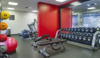 Hilton Garden Inn Charlotte Pineville - Gym