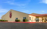 Red Roof Inn Temple - Motels