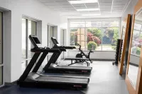 Hilton Garden Inn Chesapeake/Suffolk - Gym