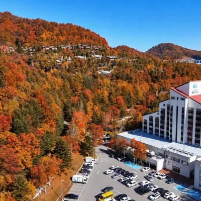 Mona Yongpyong Hotel Hotel dekat Resor Yongpyong