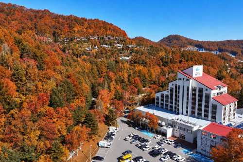 Mona Yongpyong Hotel