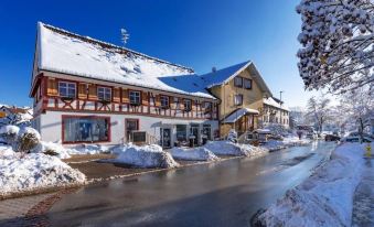 Bodensee Hotel Storchen