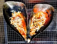 Taean Full House Pension