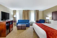 Comfort Inn Hoffman Estates - Schaumburg