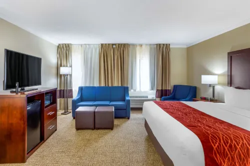 Comfort Inn Hoffman Estates - Schaumburg Hotels in South Barrington