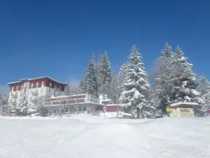 Das Waldhotel - Genuss & Wellness am Notschreipass