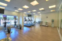 Holiday Inn Express & Suites MOBILE/SARALAND by IHG - Gym