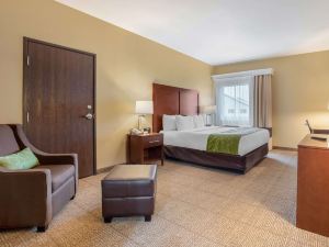 Comfort Inn Willow Springs