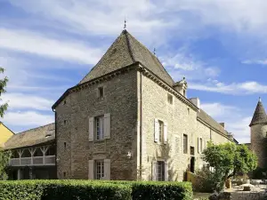 Chateau de Fleurville