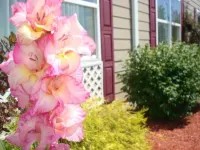 Country Inn & Suites by Radisson, Carlisle, PA Hotels in Carlisle