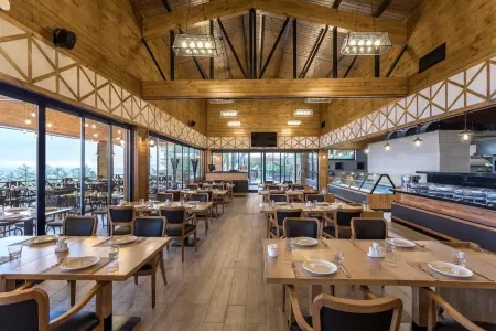 Hancioglu Orman Evleri & Hotel