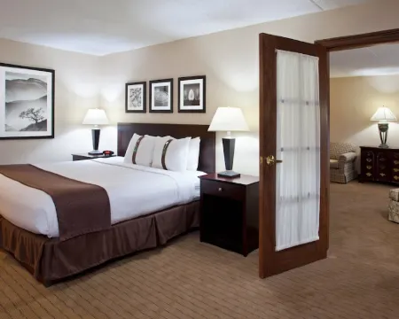 ホリデイ イン カントン (ベルデン ビレッジ) by IHG ジャクソンのホテル