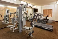 La Quinta Inn & Suites by Wyndham Fremont / Silicon Valley - Gym