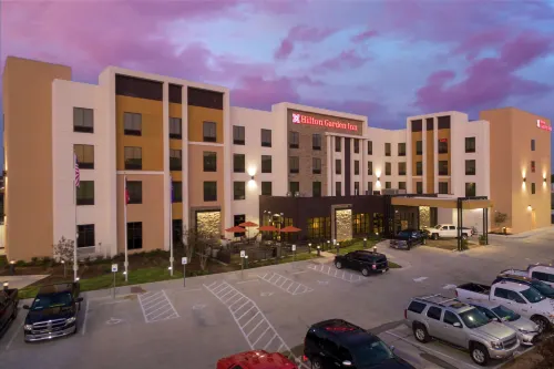 Hilton Garden Inn Waco - bar