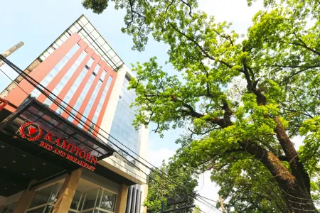 Kampioen Bed & Breakfast