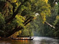 Xcape Resort Taman Negara Hotels in Jerantut