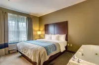 Comfort Inn & Suites Grafton-Cedarburg Отели в г. Сидарберг