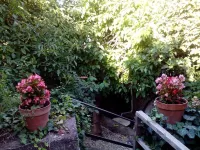 B&B Villa Lidia