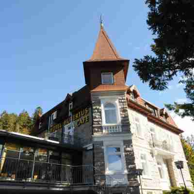 Seehotel Hubertus Hotel Exterior