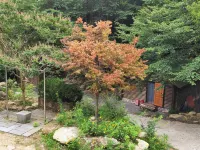 Jangseong Pyeonbaek Tongnamujip Pension Hotels in Jangseong-gun