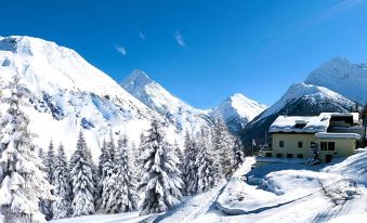 Waldhotel Fletschhorn Saas-Fee