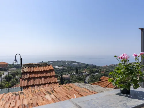 Fico Hotels in Terzorio