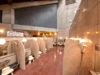 Kochi Kuroshio Hotel - Hot Springs