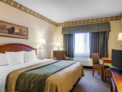 Comfort Inn Medford South Hotels in Medford