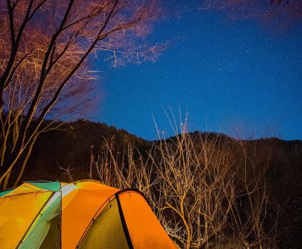 두산오토캠핑장