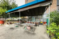 Boeun Songnisan Dongsan Pension