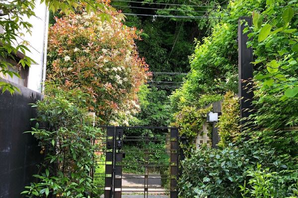 A Rental Vacation Home Limited One Group(鎌倉の閑静な住宅街二階堂、ペットと泊まれる1組限定の北欧住宅貸別荘)_1