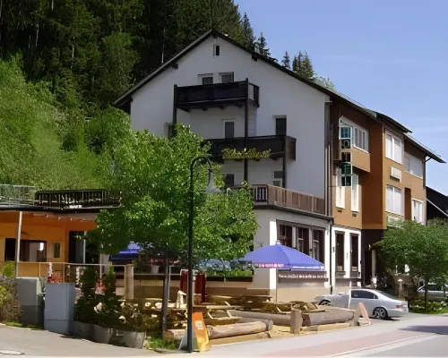 Action Forest Hotel - Kletterwald - Lasertag - nähe Badeparadies Hotels in Titisee-Neustadt