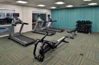 Holiday Inn Express & Suites WYLIE WEST by IHG - ジム