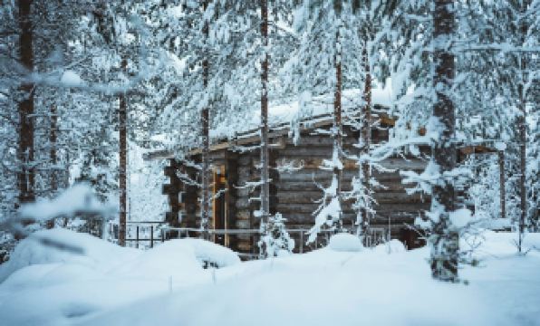 2. 인비저블 포레스..