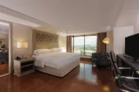 Barcelo Guadalajara