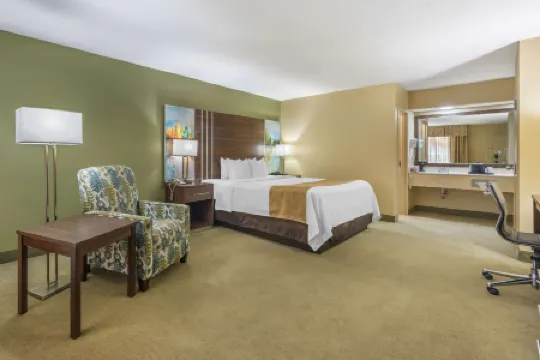 Quality Inn of Paris, TN