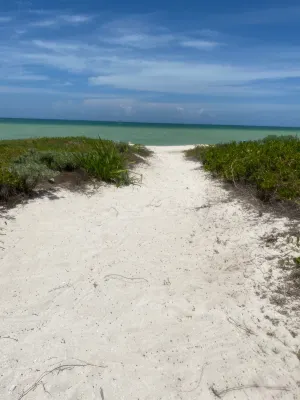 Entire House on the Seashore in Chicxulub Puerto, Yuc, Riviera Yucateca MEX Hotels in Chicxulub Puerto