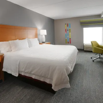 Hampton Inn & Suites Houston Medical Center NRG Hotels near Houston Museum of Natural Science