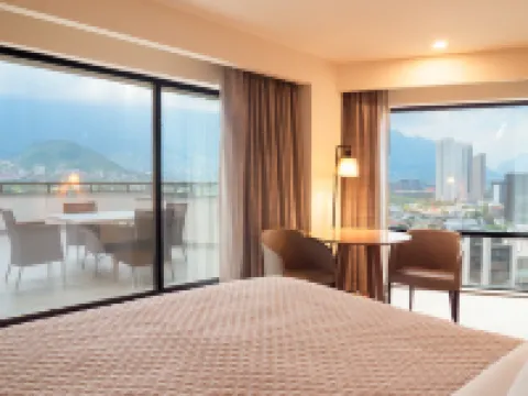 MS Milenium Monterrey, Curio Collection by Hilton