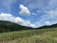 A Fantastic View Sylva- WCU - Cherokee - Dillsboro-Pet Friendly