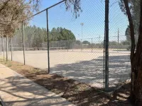 NEW The Wild Cactus- Best of LBK w TennisCourts