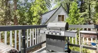 Arrowhead cabin sleeps 12 fast wifi newly remodeled
