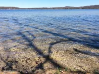 Cabin, private, woods, trails, 2000 Acre Duck Lake, kayaking, concerts