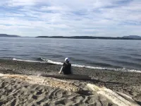 Beautiful farmhouse overlooking water with beach access on a private estate Hotels in Lopez