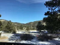 Charming Cabin In The Pines