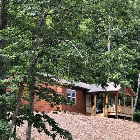 Mountain Views, Fire Pit, Minutes From Downtown Asheville