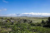 Beautiful Private Cottage